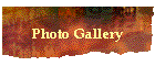 Photo Gallery