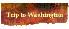 Trip to Washington